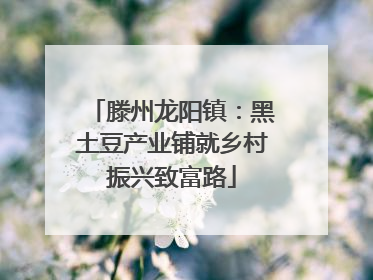滕州龙阳镇：黑土豆产业铺就乡村振兴致富路